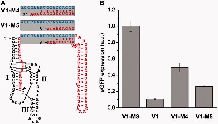 Figure 4.