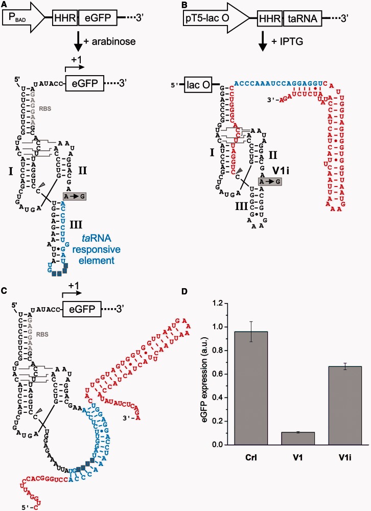 Figure 2.