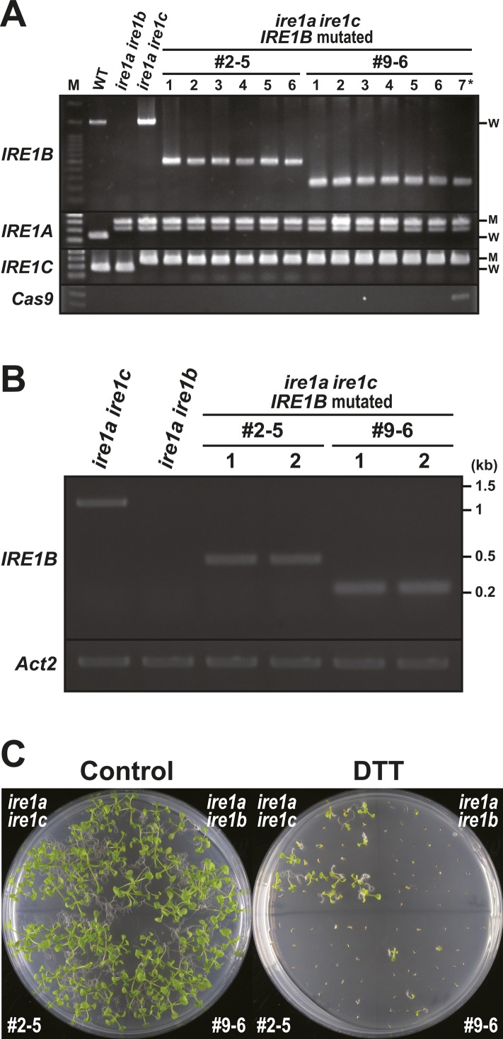 Figure S5.