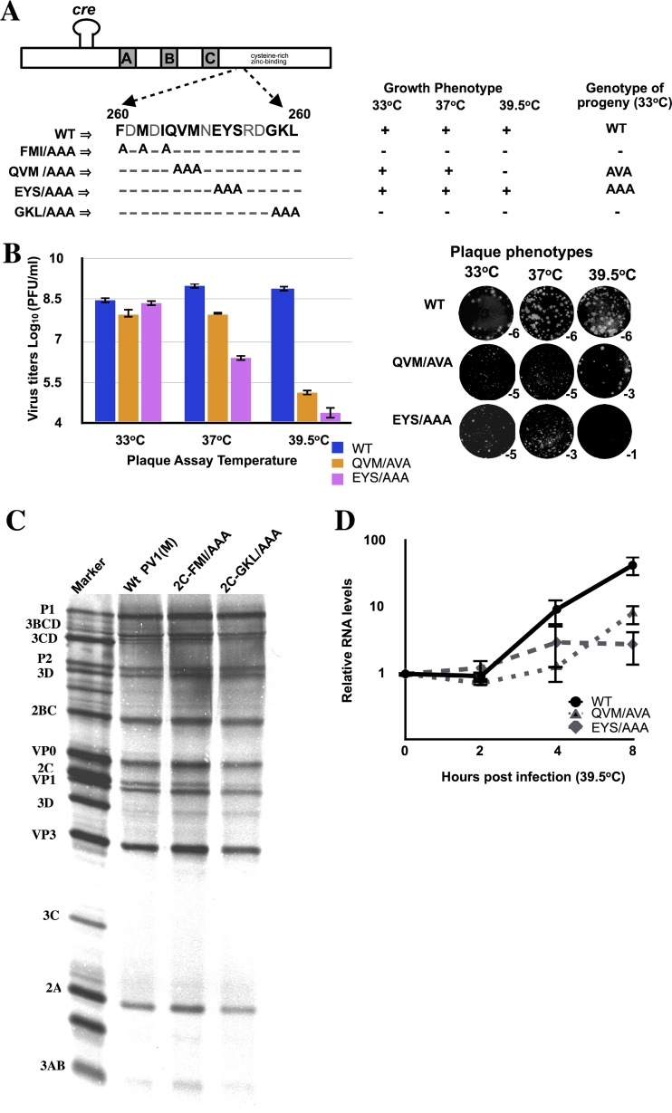 FIG 3