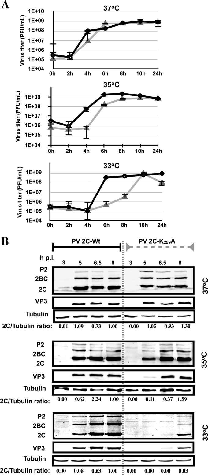 FIG 5