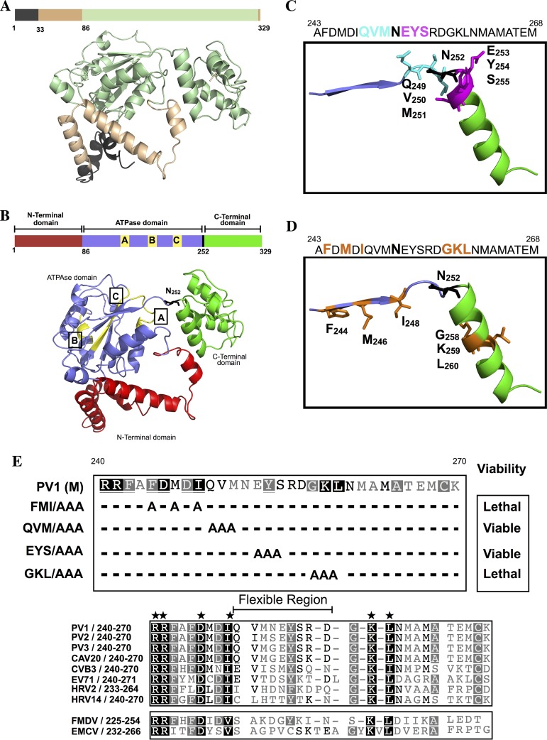 FIG 2