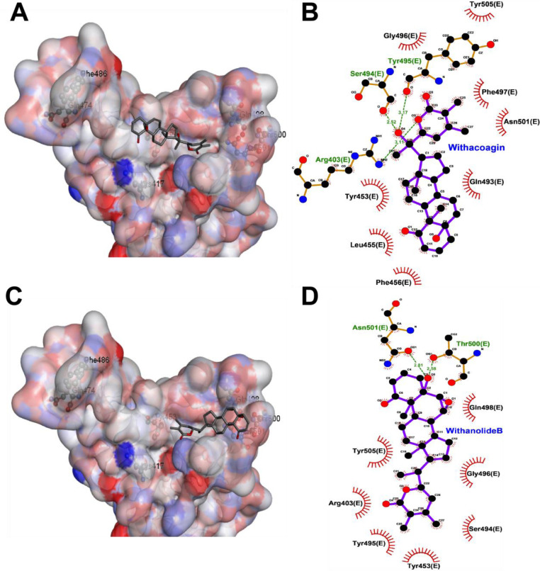 Fig 14