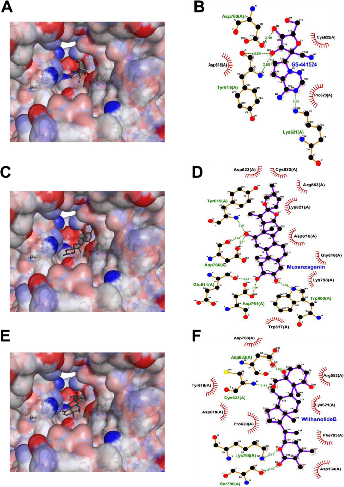 Fig 13