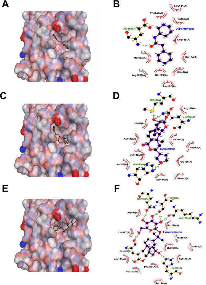 Fig 12