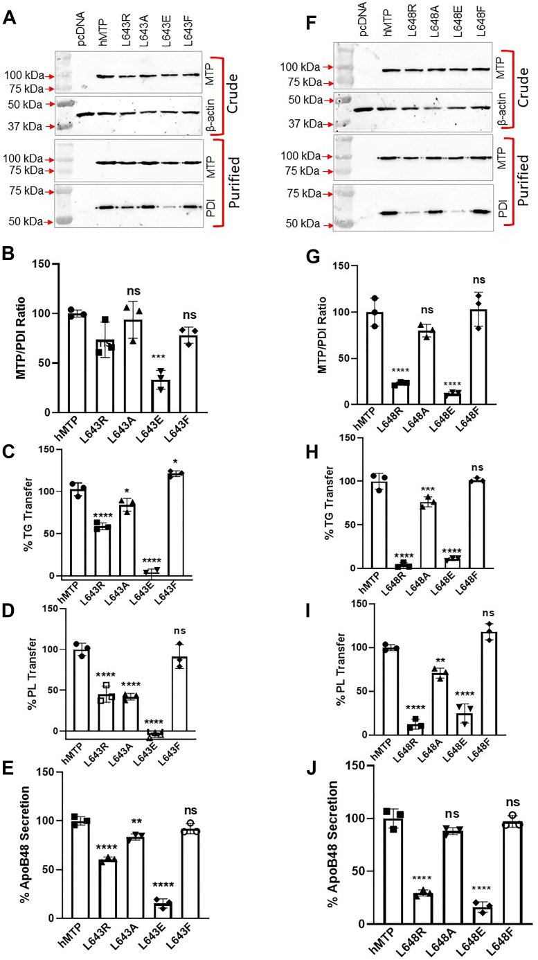 Figure 7