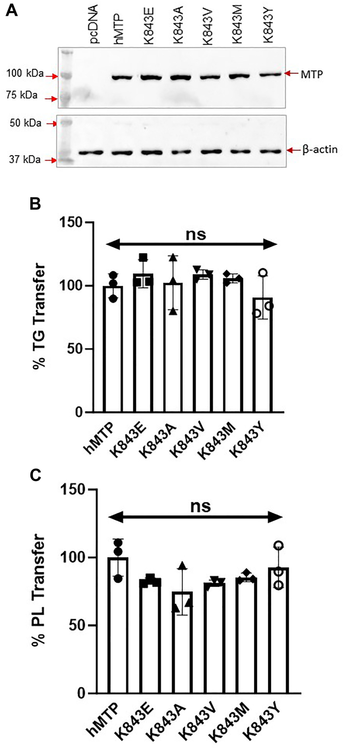 Figure 4