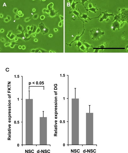 Fig. 7