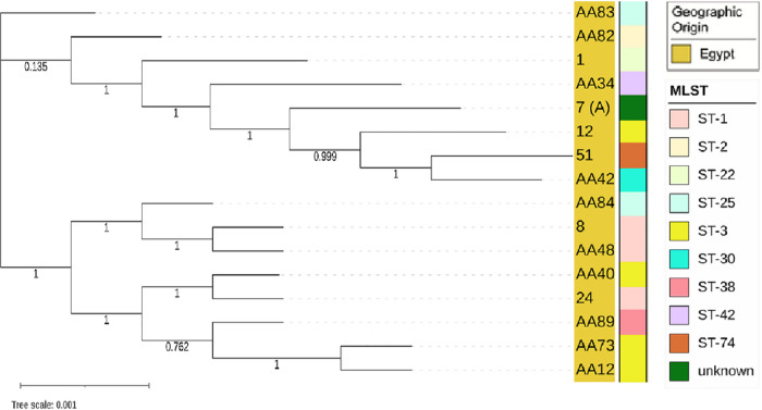 FIG 2