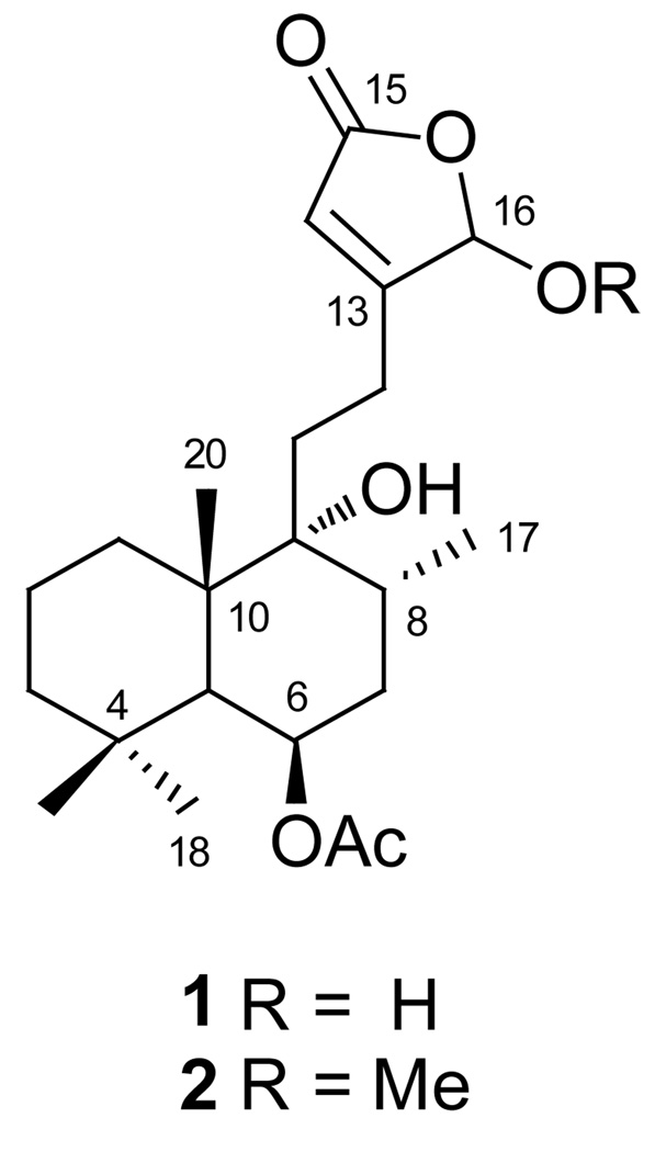 Fig. 1