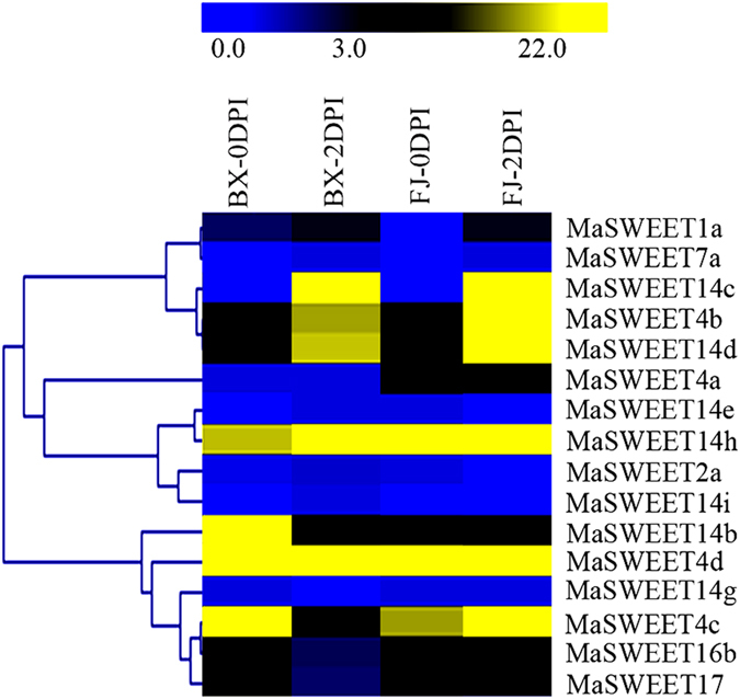 Figure 7