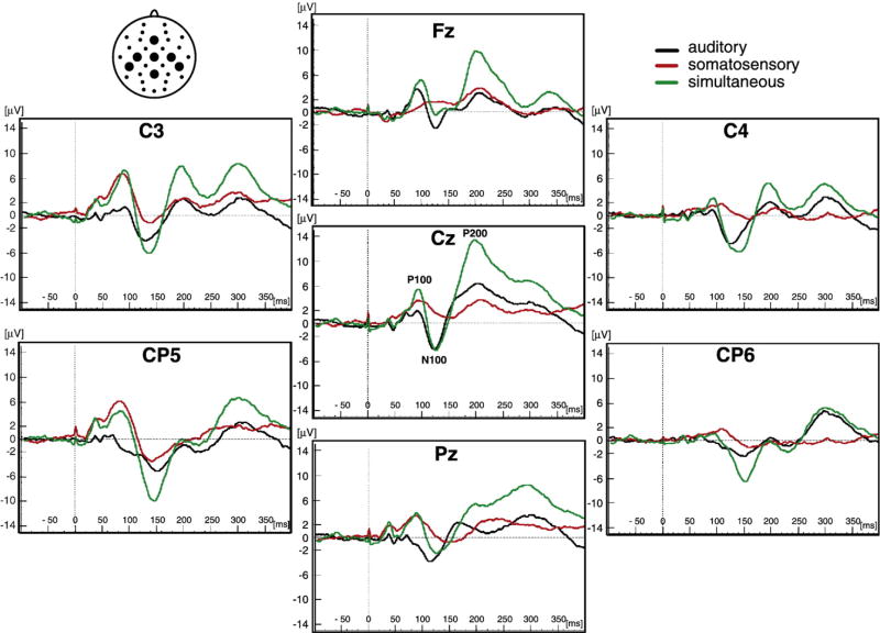 Fig. 1