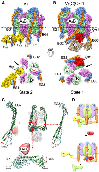 Figure 5