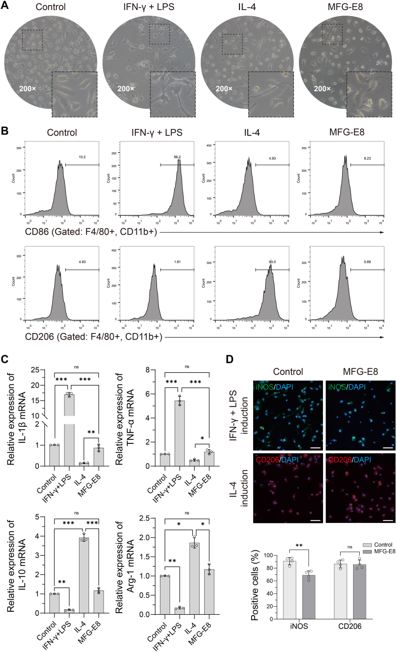 Figure 3