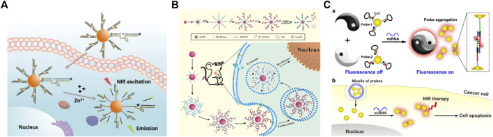 FIGURE 12