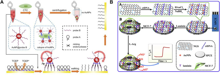 FIGURE 11