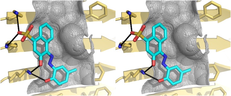 Figure 2—figure supplement 2.