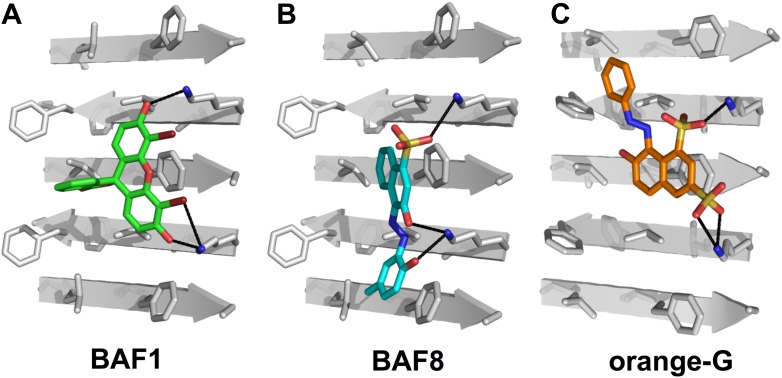 Figure 1—figure supplement 1.