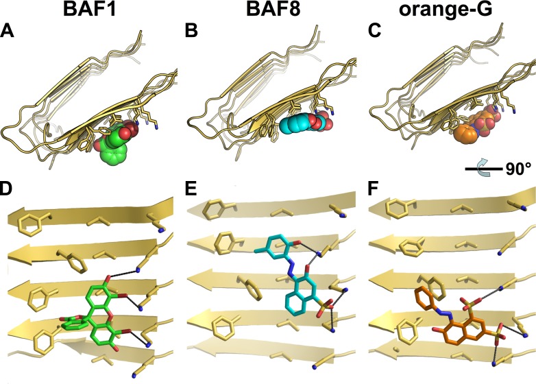 Figure 1—figure supplement 2.