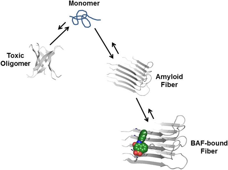 Figure 12.