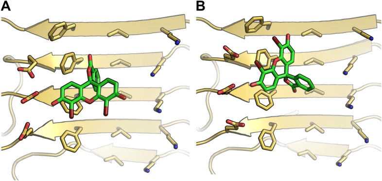 Figure 1—figure supplement 3.