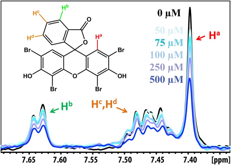 Figure 5—figure supplement 1.