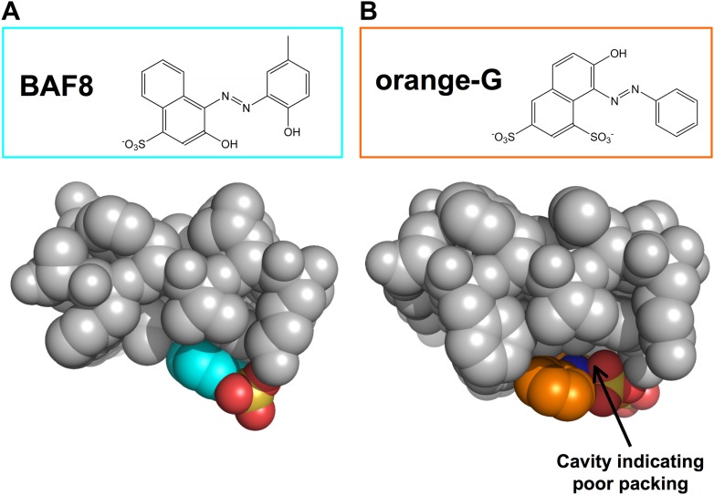 Figure 2—figure supplement 1.