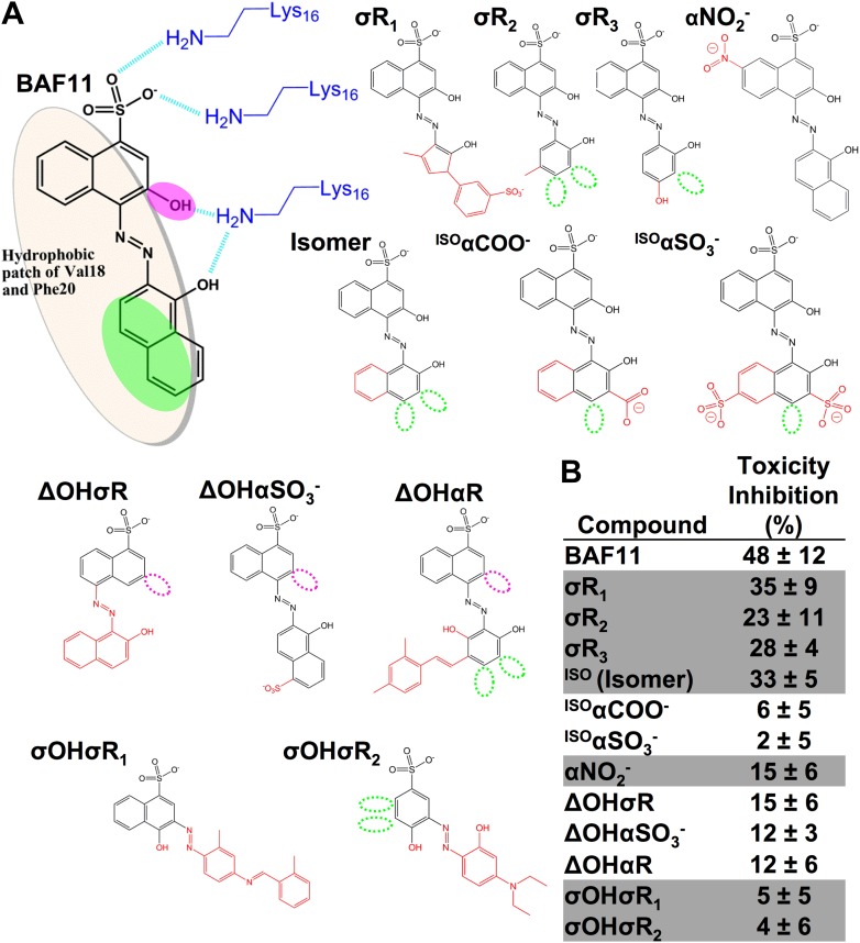 Figure 6—figure supplement 1.