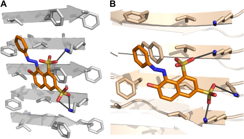 Figure 13—figure supplement 1.