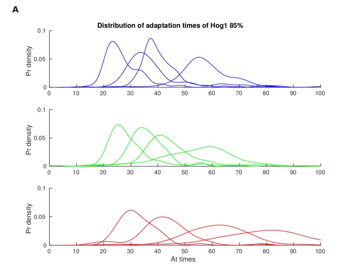 Figure 2—figure supplement 2.