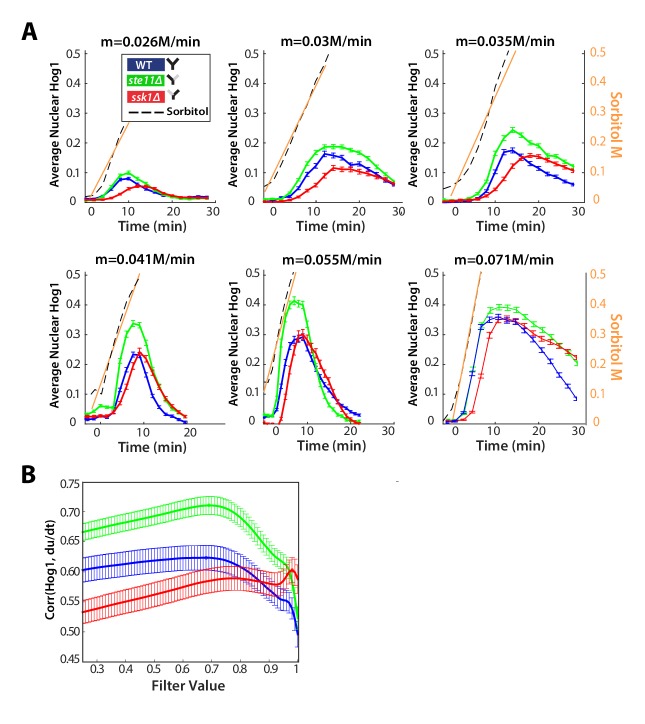 Figure 4—figure supplement 1.