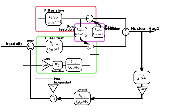 Figure 5—figure supplement 1.