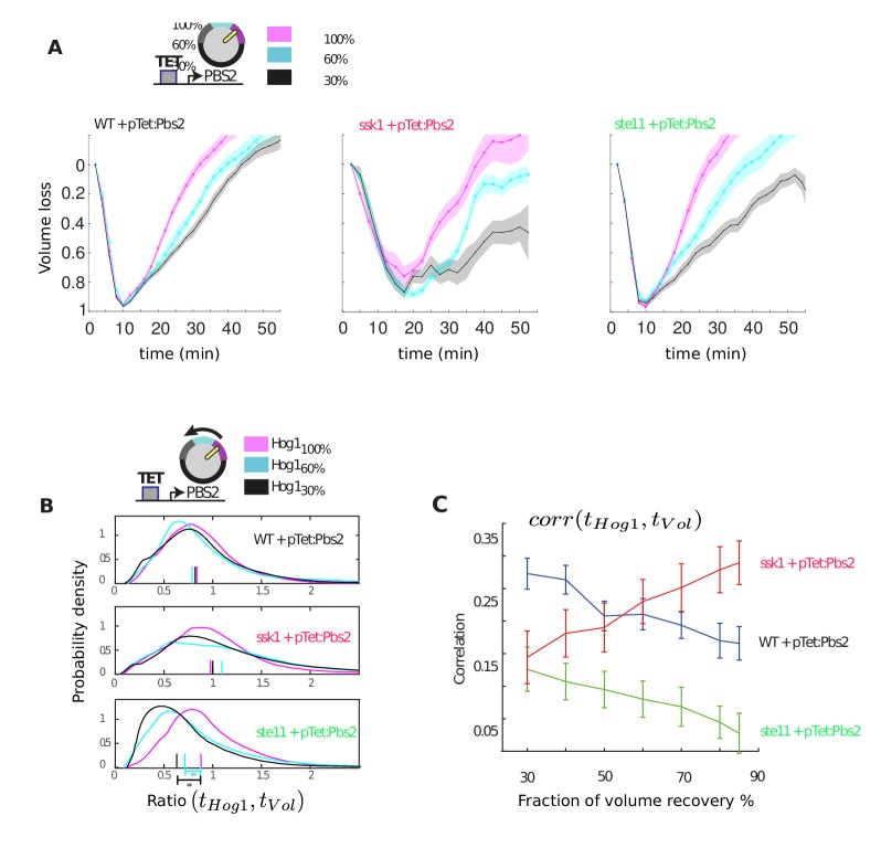 Figure 3—figure supplement 1.