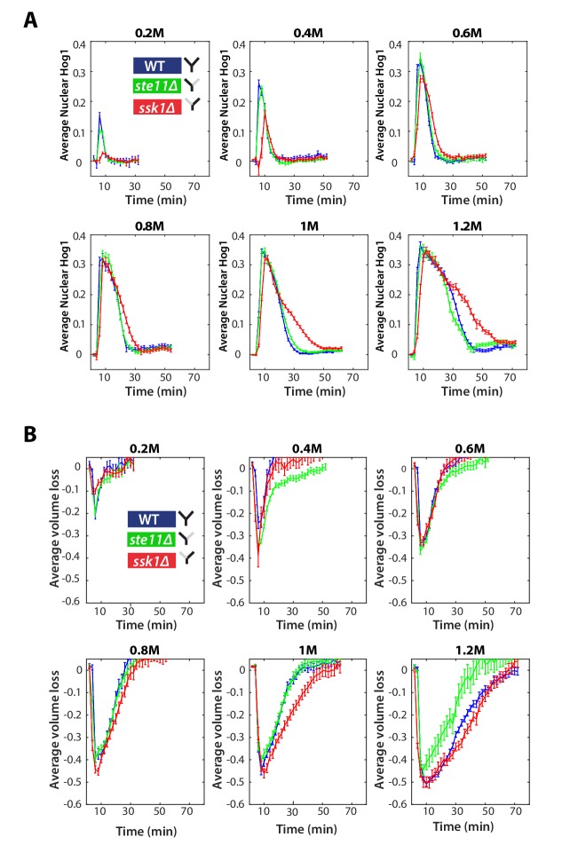 Figure 2—figure supplement 1.