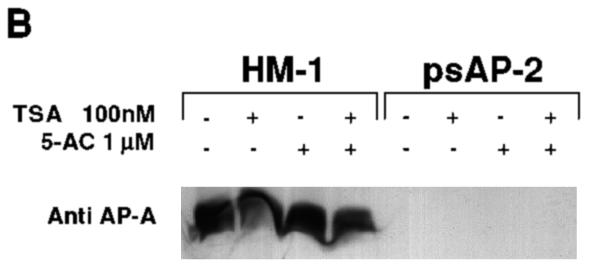 FIG. 5.