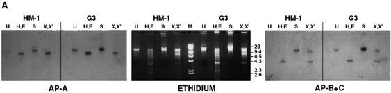 FIG. 5.