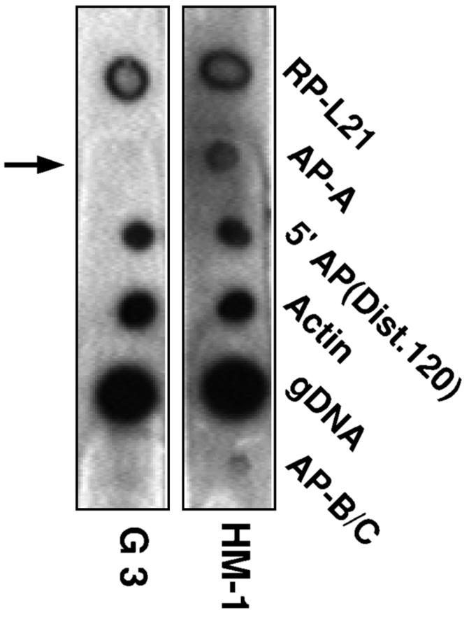 FIG. 6.