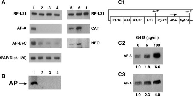 FIG. 4.