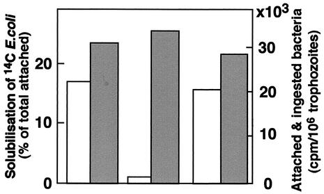 FIG. 8.