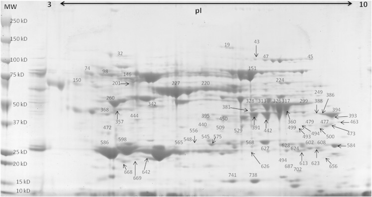 Fig. 3