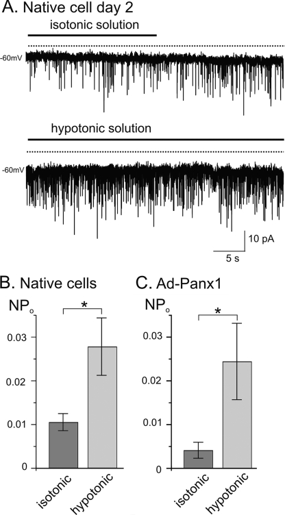 FIGURE 7.