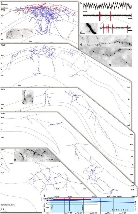 
Figure 8.
