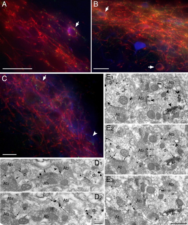 
Figure 11.
