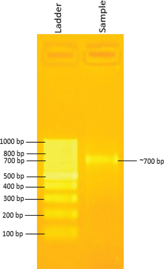 Figure 2.