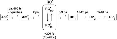 SCHEME 3