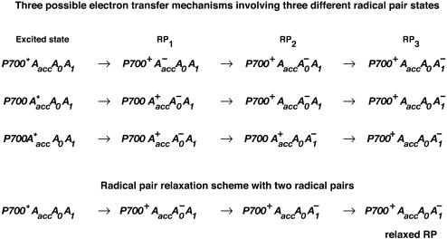 SCHEME 2