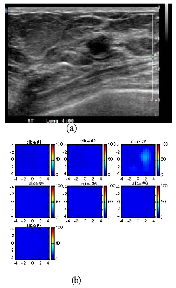 Fig.6