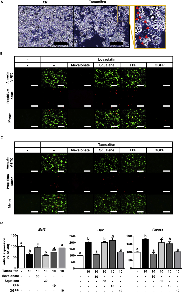 Figure 6