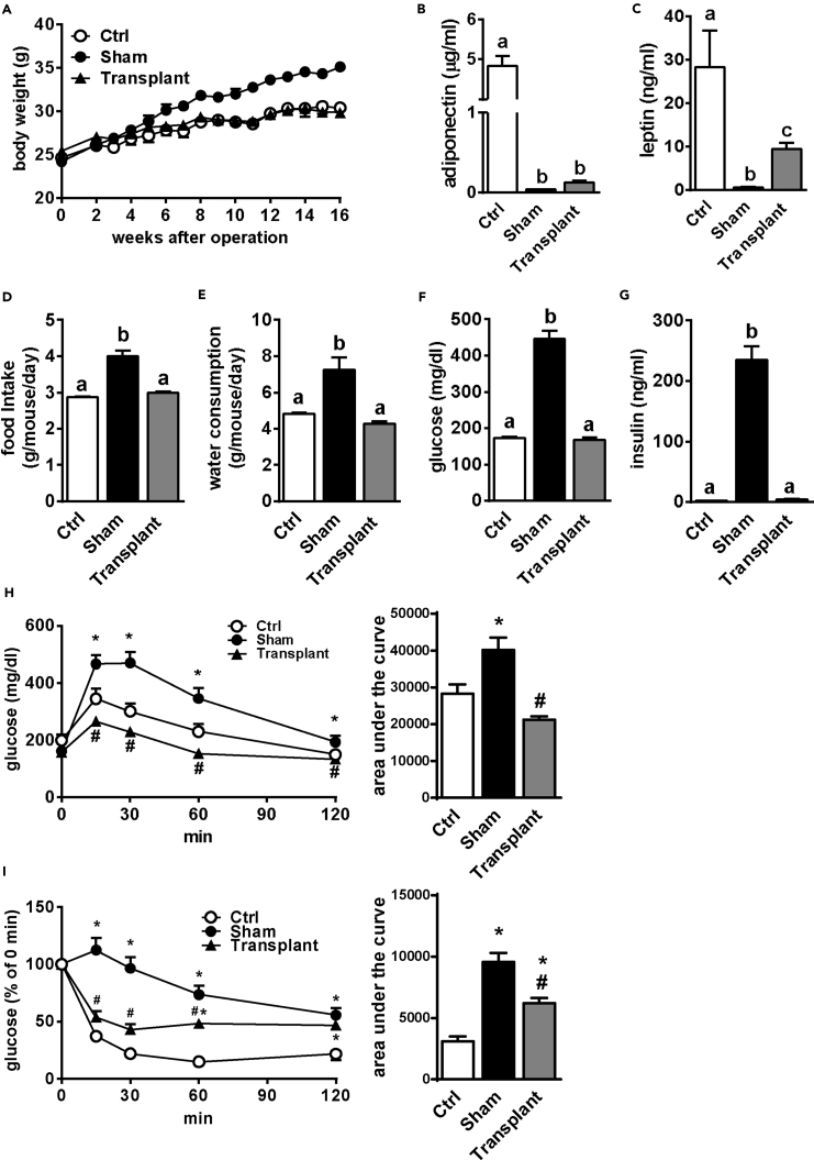 Figure 3