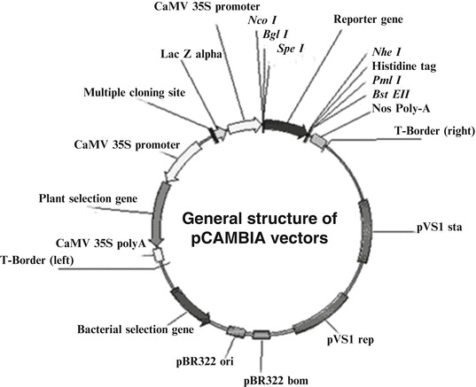 Fig. 4.5